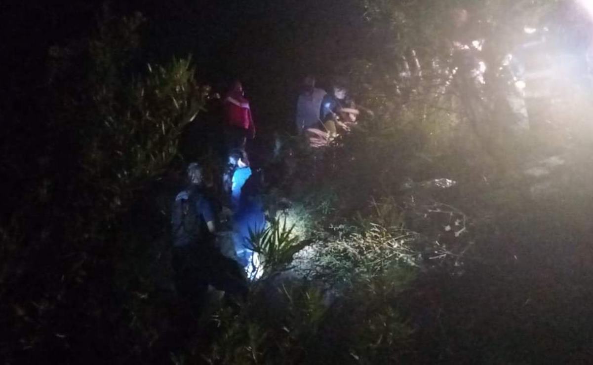 Investiga fiscalía de SLP envenenamiento masivo de animales: Gallardo; implementan operativo en la zona. Foto: Especial