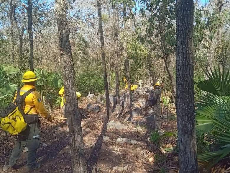 Se han registrado 46 incendios y 5 mil 600 hectáreas siniestradas en SLP en lo que va de 2025