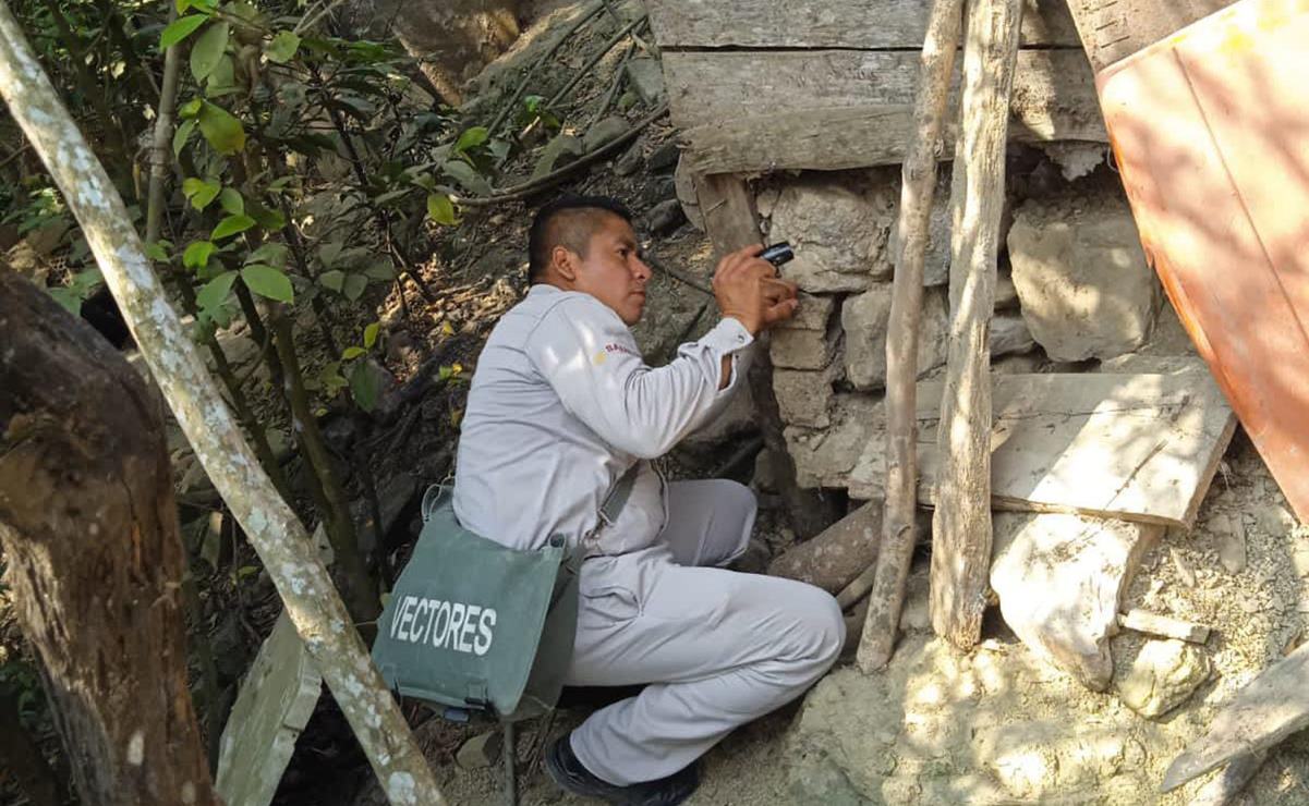 En 2023 se han confirmado cinco casos de enfermedad de Chagas en SLP. Foto: Archivo