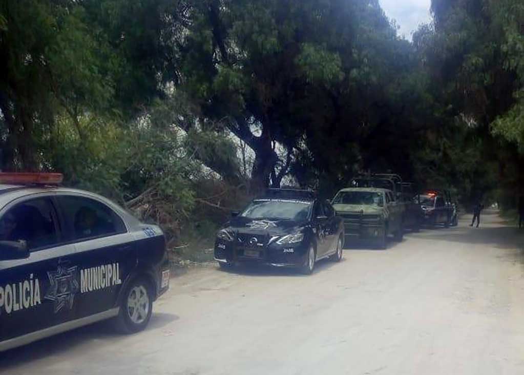 Localizan cadáver en Palma de la Cruz