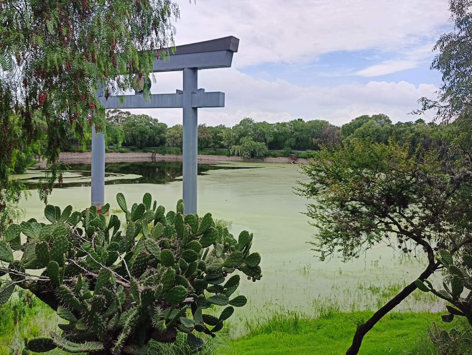 Foto: Jazmín Ramírez EL UNIVERSAL