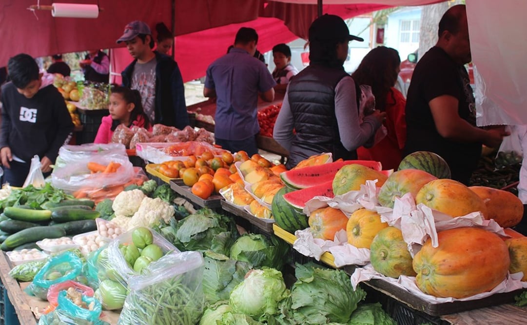 Por Covid-19, Comercio pide tomar precauciones al acudir a tianguis en capital de SLP