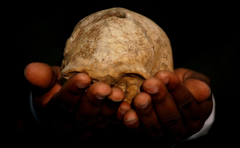 Deformación craneal desde la infancia se practicaba hace mil 500 años