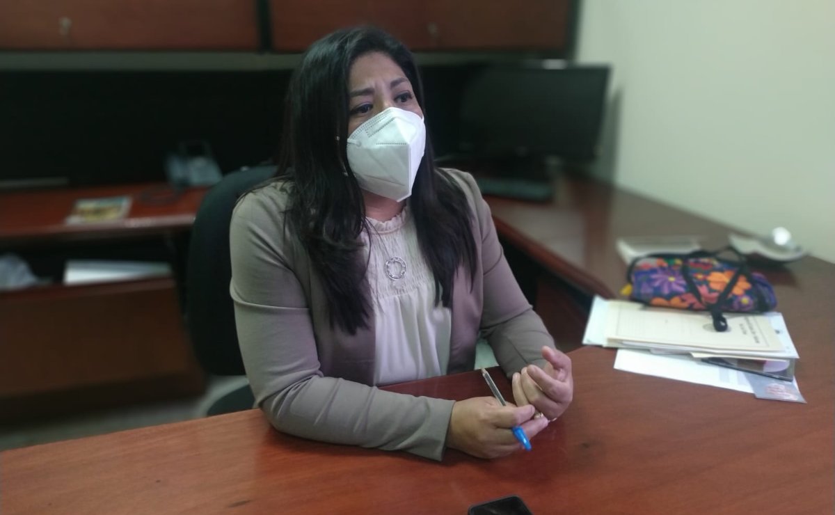 Diputada Marite Hernández se destapa para buscar la dirigencia estatal de Morena