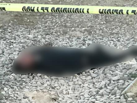 Ejecutan a hombre en zona industrial