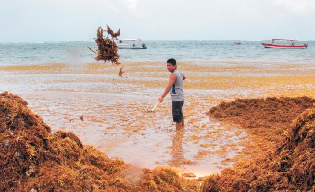 Foto: Archivo El Universal