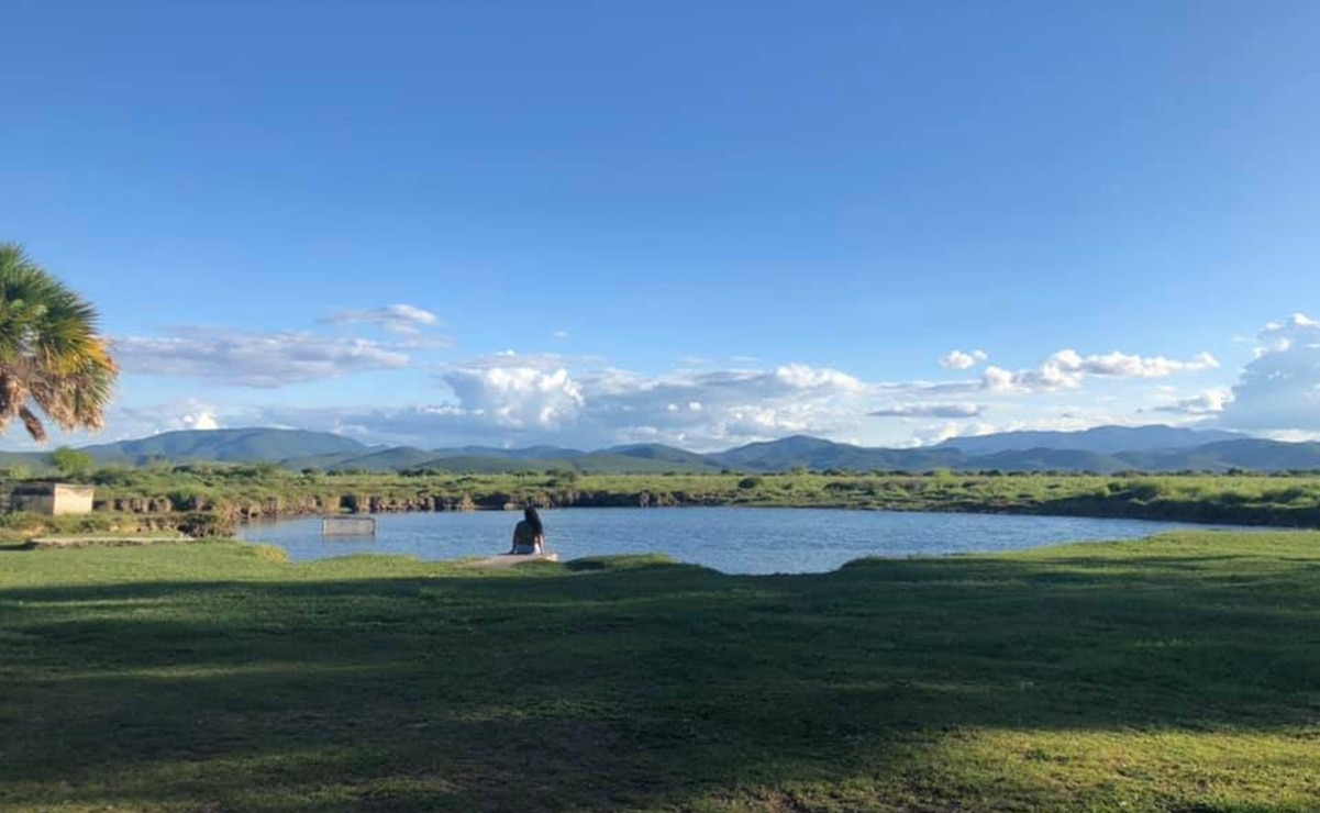 ¡El paraíso escondido de Rioverde! Los Anteojitos te esperan con aguas cálidas, pesca y camping por un precio accesible. Foto: FB, Los Anteojitos