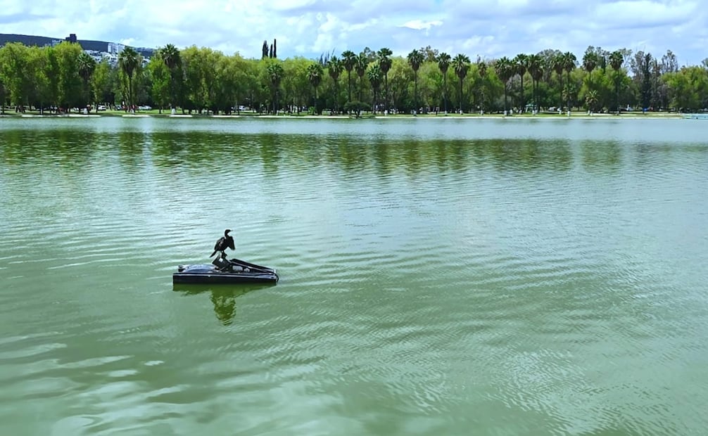 Lago mayor del parque Tangamanga I de SLP. Foto: Jazmín Ramírez