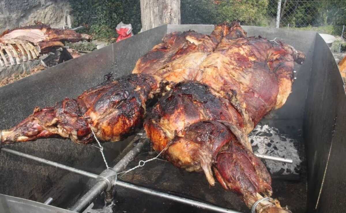 El ejemplar que será asado en Rioverde pesará alrededor de 600 kilos