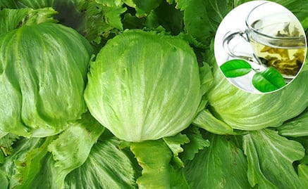 Usos medicinales que le puedes dar a la lechuga y que probablemente no conocías