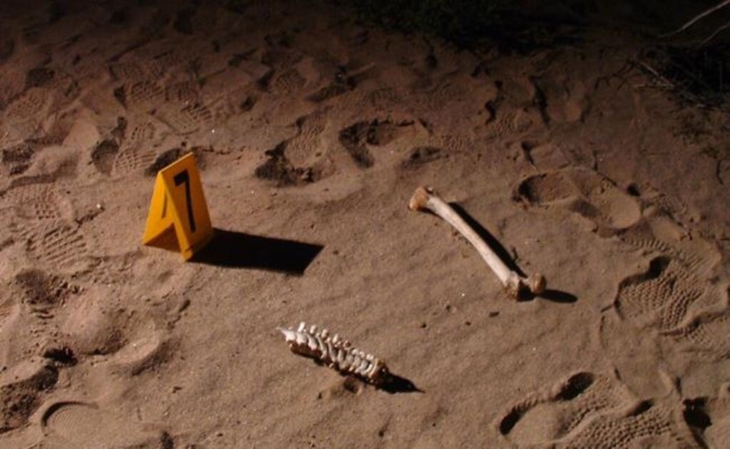 Hallan más fosas clandestinas en Jalisco; ubican 8 cuerpos