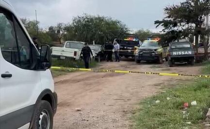 Buscan a responsables de tirar un feto en la colonia Las Flores, al norte de la capital de SLP  