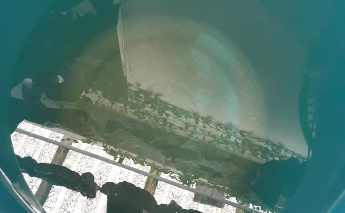 Denuncian habitantes de la capital agua turbia en tuberías de SLP; Interapas no ha intervenido 