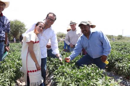 Gobierno municipal invierte 14 mdp en delegación de Bocas