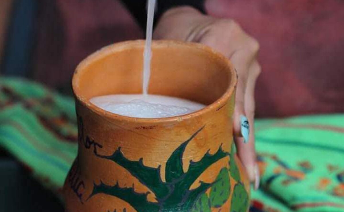 ¿Qué hacer en la Fiesta Nacional del Pulque en San Luis Potosí?