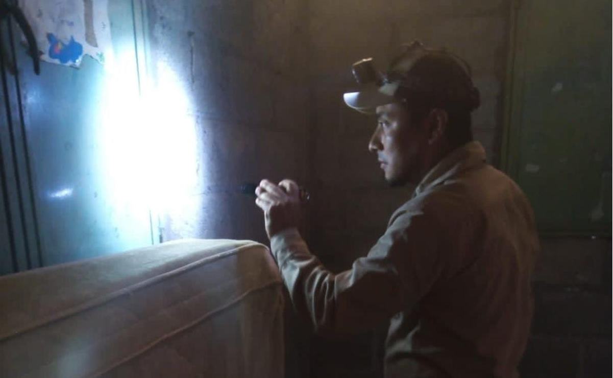 Descartan autoridades de Salud infestación de chinches en San Luis Potosí