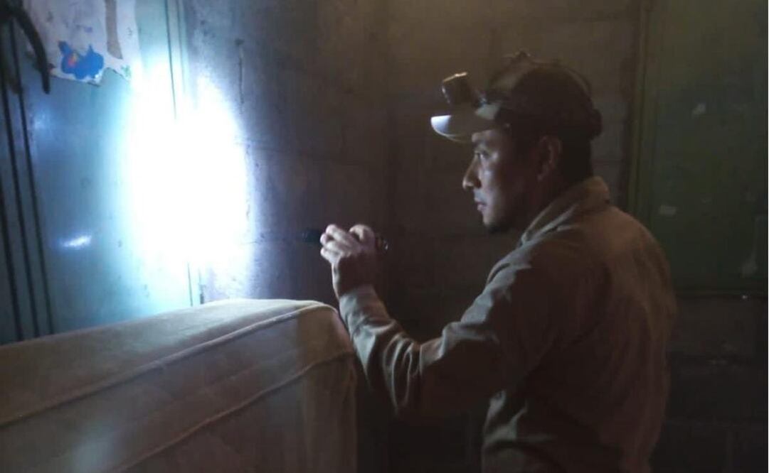 Descartan autoridades de Salud infestación de chinches en San Luis Potosí: Foto: Especial