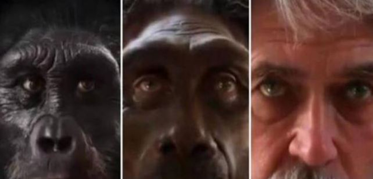 La ciencia predice cómo será el rostro humano en el futuro