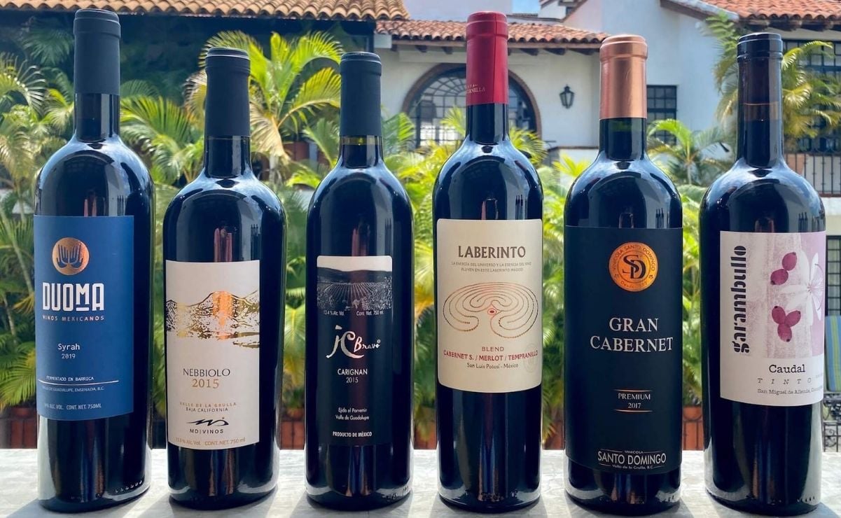 Los mejores vinos de San Luis Potosí. ¿Cuánto cuestan y dónde comprarlos?