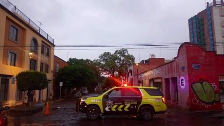 Tras fuertes lluvias, se registran caída de árboles en San Luis Potosí