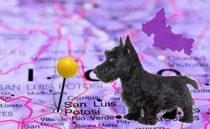 San Luis Perrosí, el curioso caso del estado con forma de perrito