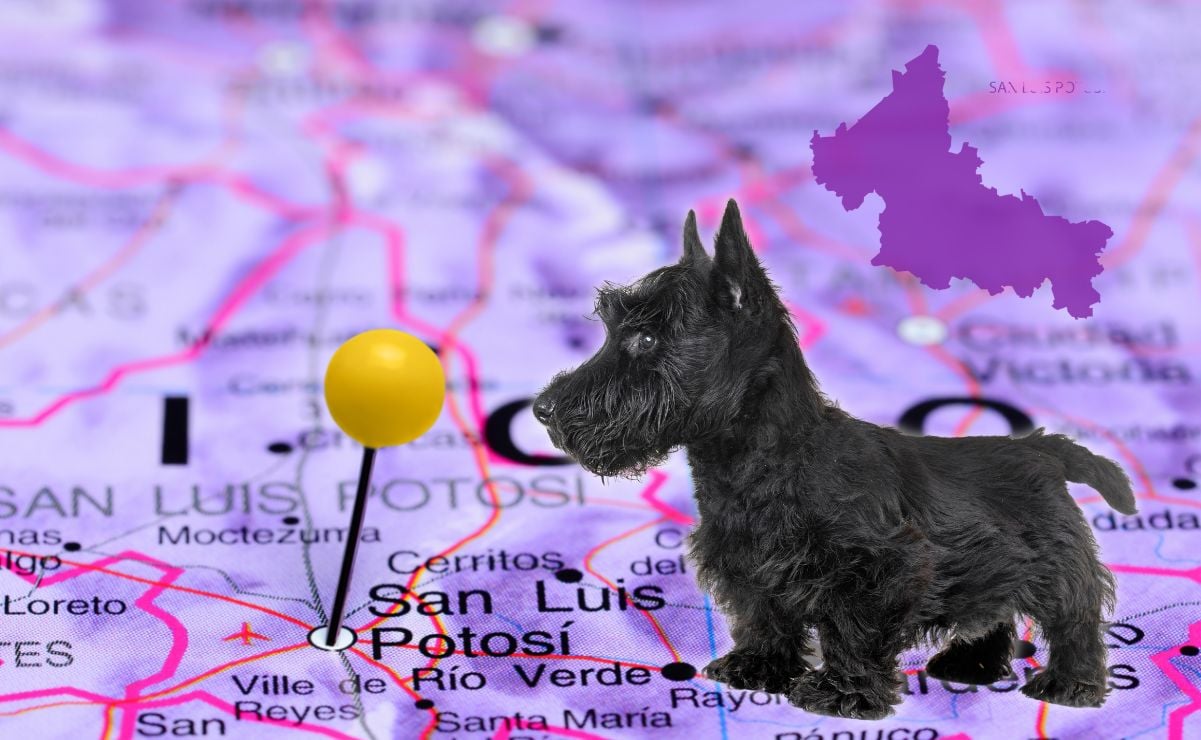 San Luis Perrosí, el curioso caso del estado con forma de perrito