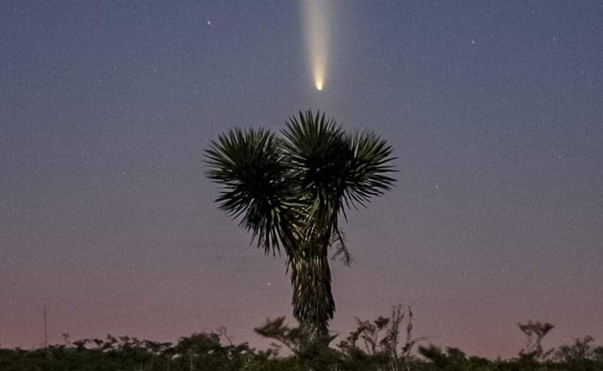 FOTOS: Cometa Tsuchinshan-ATLAS se luce esplendoroso en los cielos de San Luis