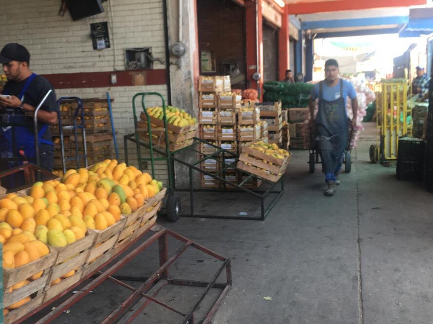 Foto: Nancy Lizet Hernández