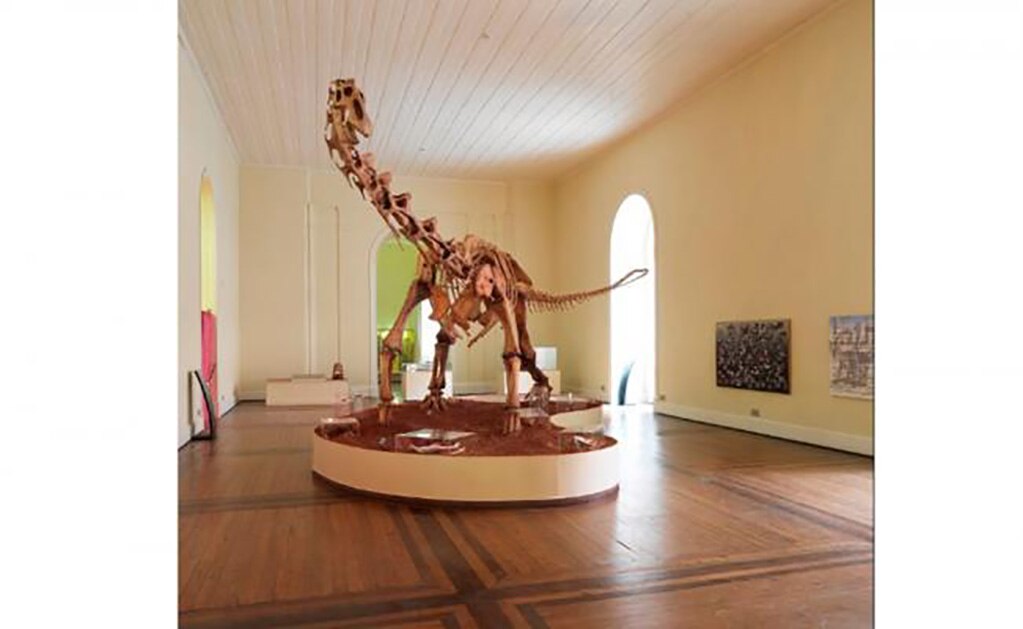 Tour virtual muestra El Museo Nacional de Brasil antes del incendio