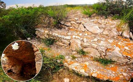 ¿Existe una ciudad subterránea en el desierto de San Luis Potosí?  Esto es lo que sabemos
