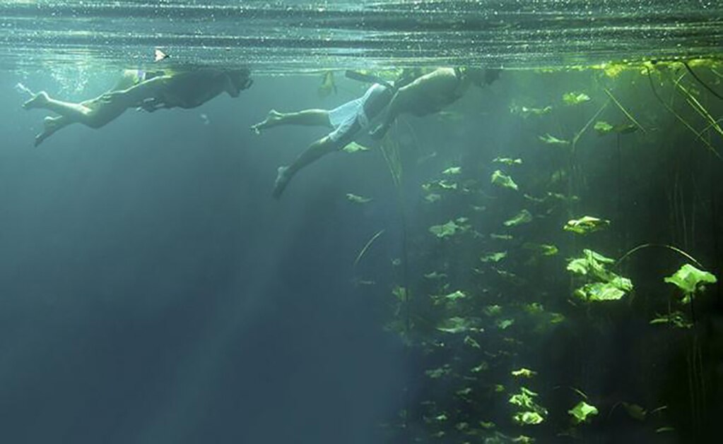 Cenotes de la Riviera Maya resguardan enigmas prehistóricos
