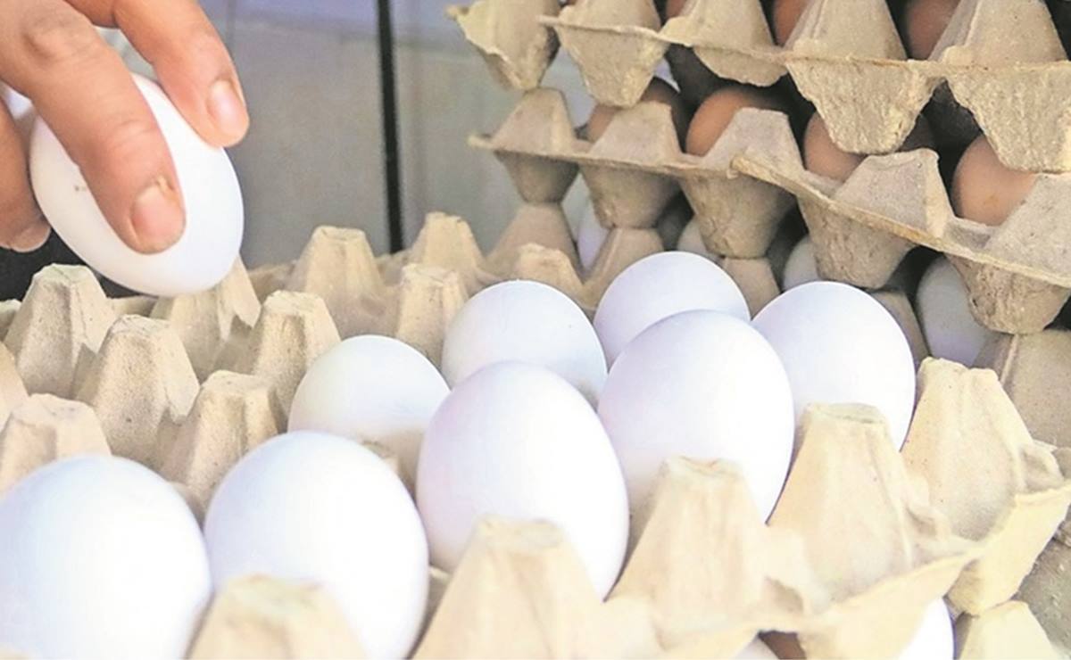 Precio del huevo se dispara 33.92% en la primera mitad de febrero: Inegi