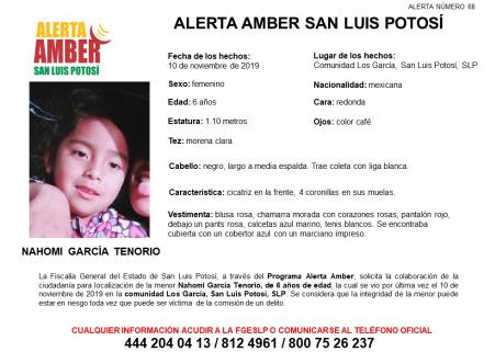 Sustraen a menor de camioneta, activan Alerta Amber