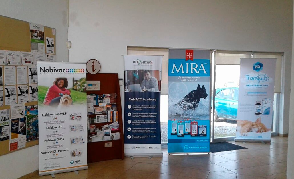 Arrancan jornadas médicas veterinarias