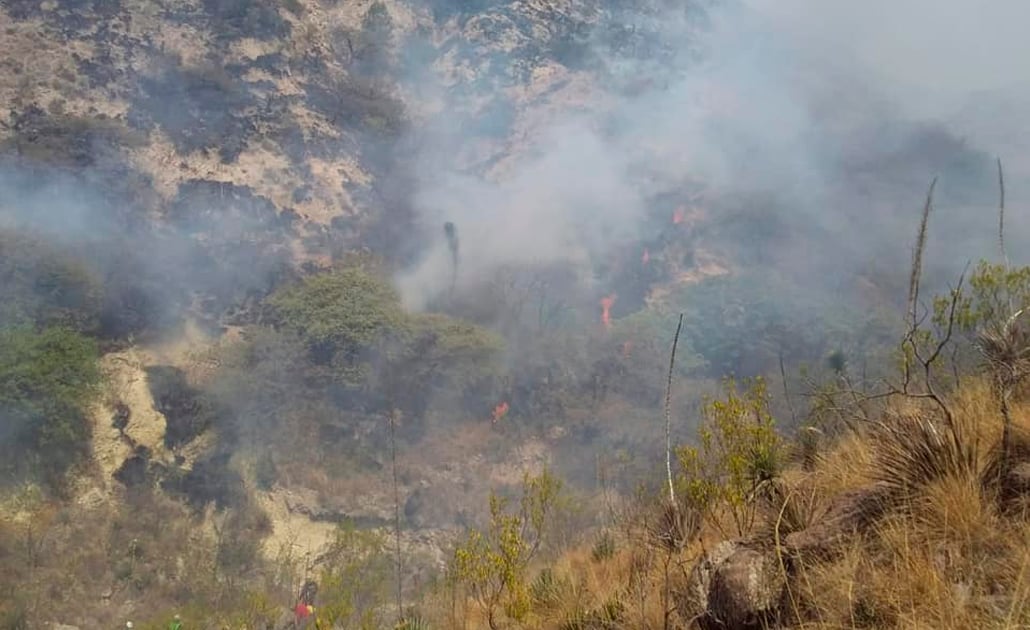 Incendio en Sierra de San Miguelito ya fue controlado al 100%