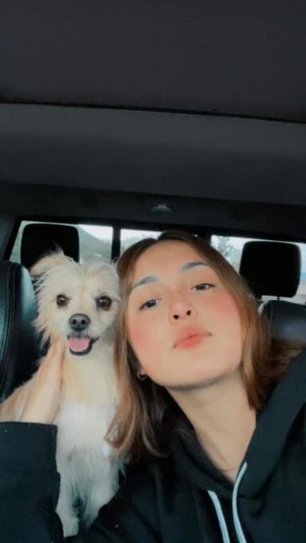 Día Mundial del Perro. Ana Bárbara, Rubí Ibarra, Enrique Galindo, y otros potosinos amantes de los perritos