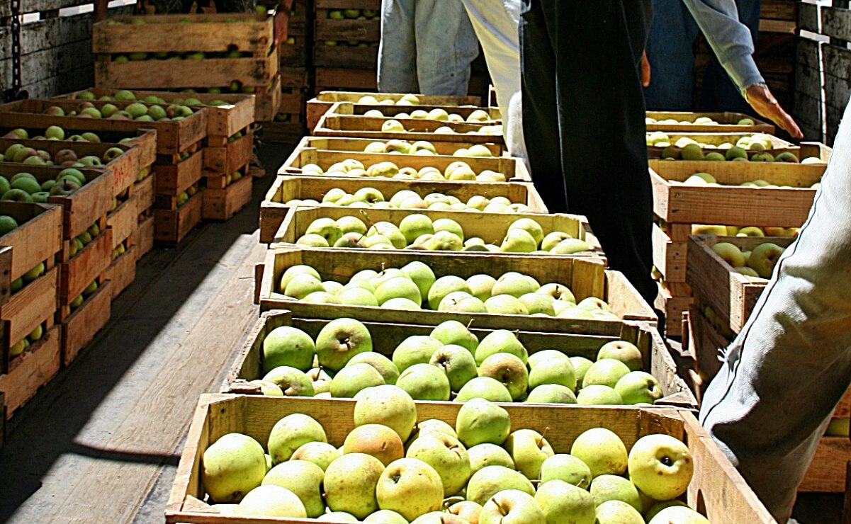 ¿Cuáles frutas me ayudan a reducir el colesterol?