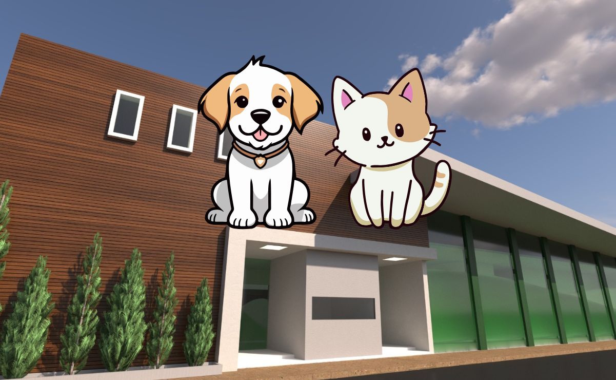 Nuevo hospital para gatitos y perritos en SLP: 10 cosas que debes saber