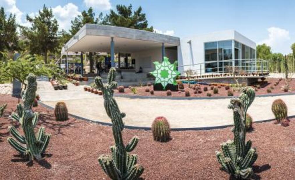 Jardín Botánico UASLP, ejemplo de conservación de plantas