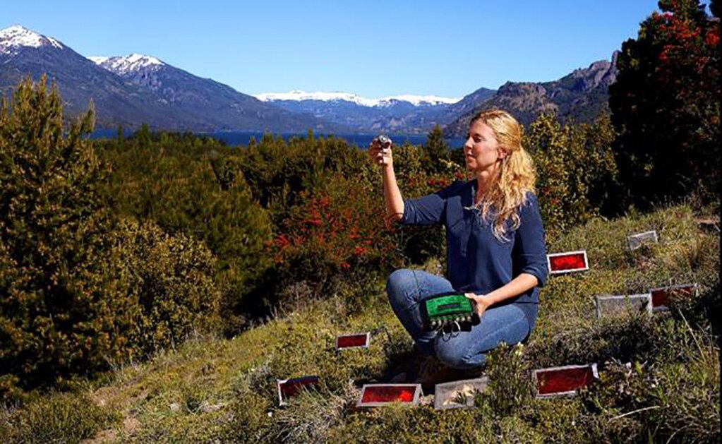 La ciencia necesita de las mujeres, afirma ganadora del premio L'Oréal-Unesco