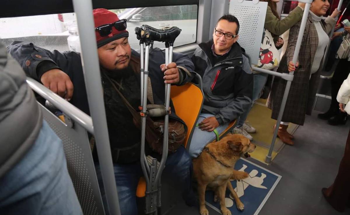 MetroRed: Cómo tramitar la tarjeta de traslados gratuitos y quién puede acceder a ella en SLP
