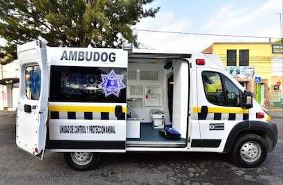 Soledad, primer municipio en el país con una ambulancia para animales
