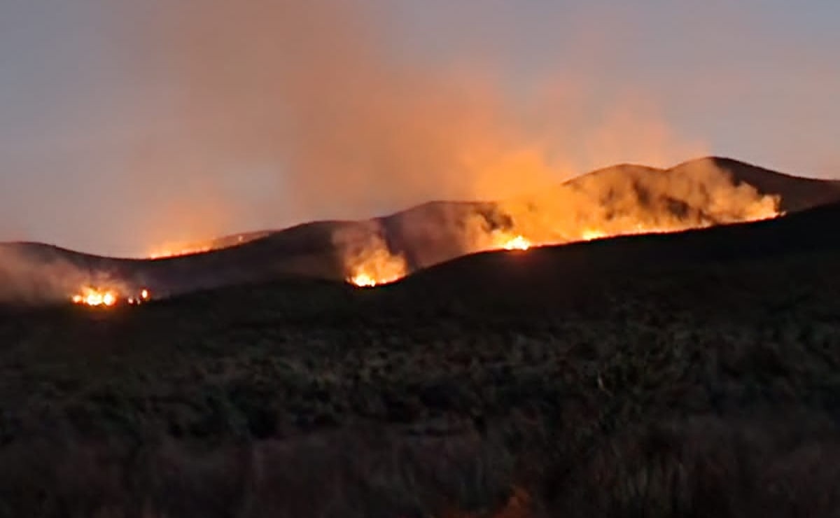 Se registra incendio forestal en la Sierra de El Sabino, entre Zacatecas y SLP