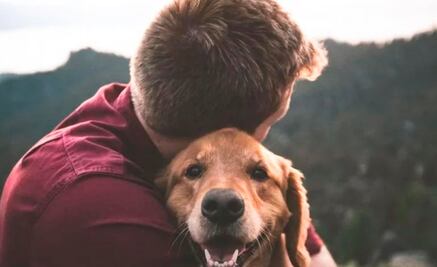 Tener un perro ayuda a mejorar la salud del corazón
