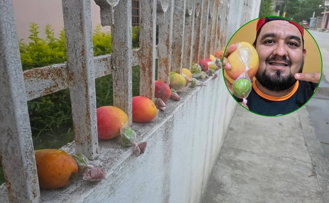 Profesor potosino regala mangos fríos desde la barda de su casa. Foto: FB@Profe Curro R