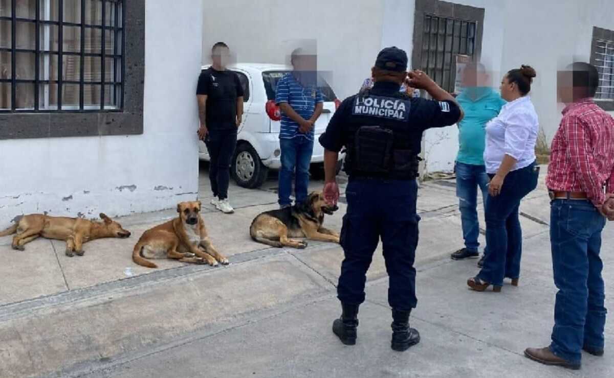 Vecinos denunciaron posible envenenamiento masivo de perritos en Villa de Pozos