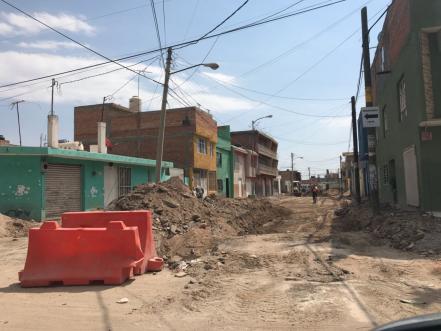 Tortuguismo en obras de Ponciano Arriaga