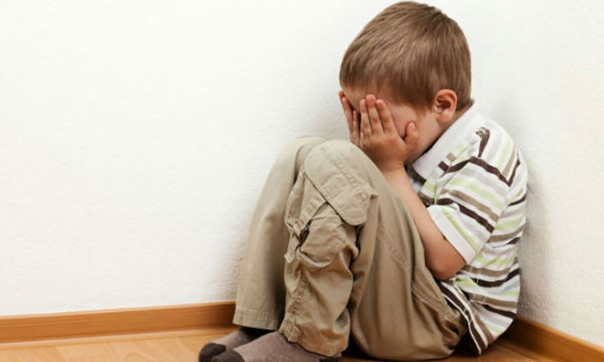 Diputada busca garantizar atención a víctimas de violencia