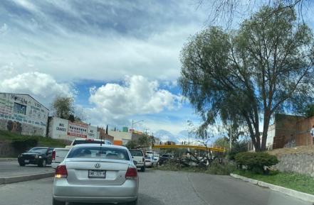Reportan incidentes por fuertes vientos en zona metropolitana de SLP