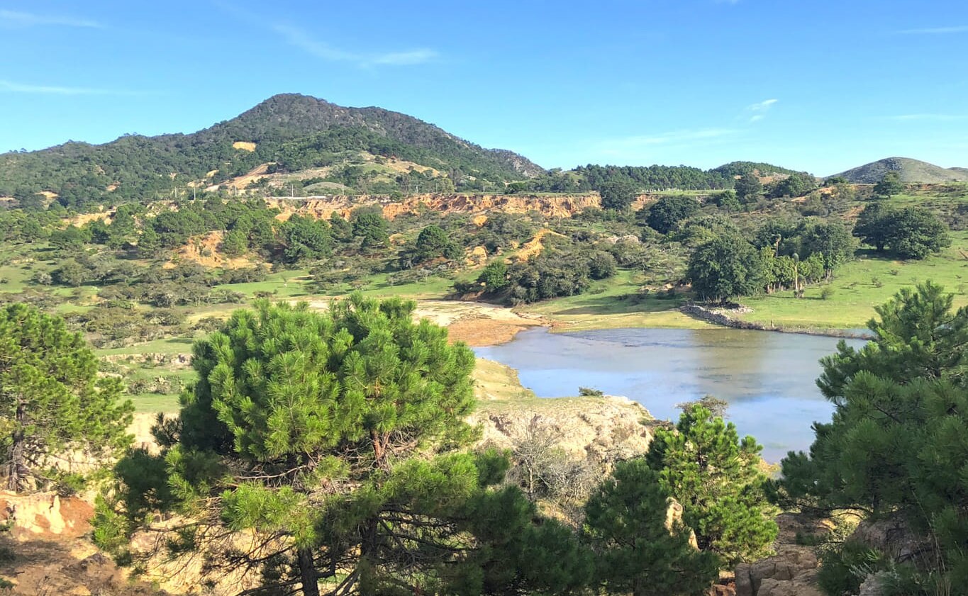 El Realejo forma parte del Área Natural Protegida Reserva Estatal Real de Guadalcázar. Foto: Especial